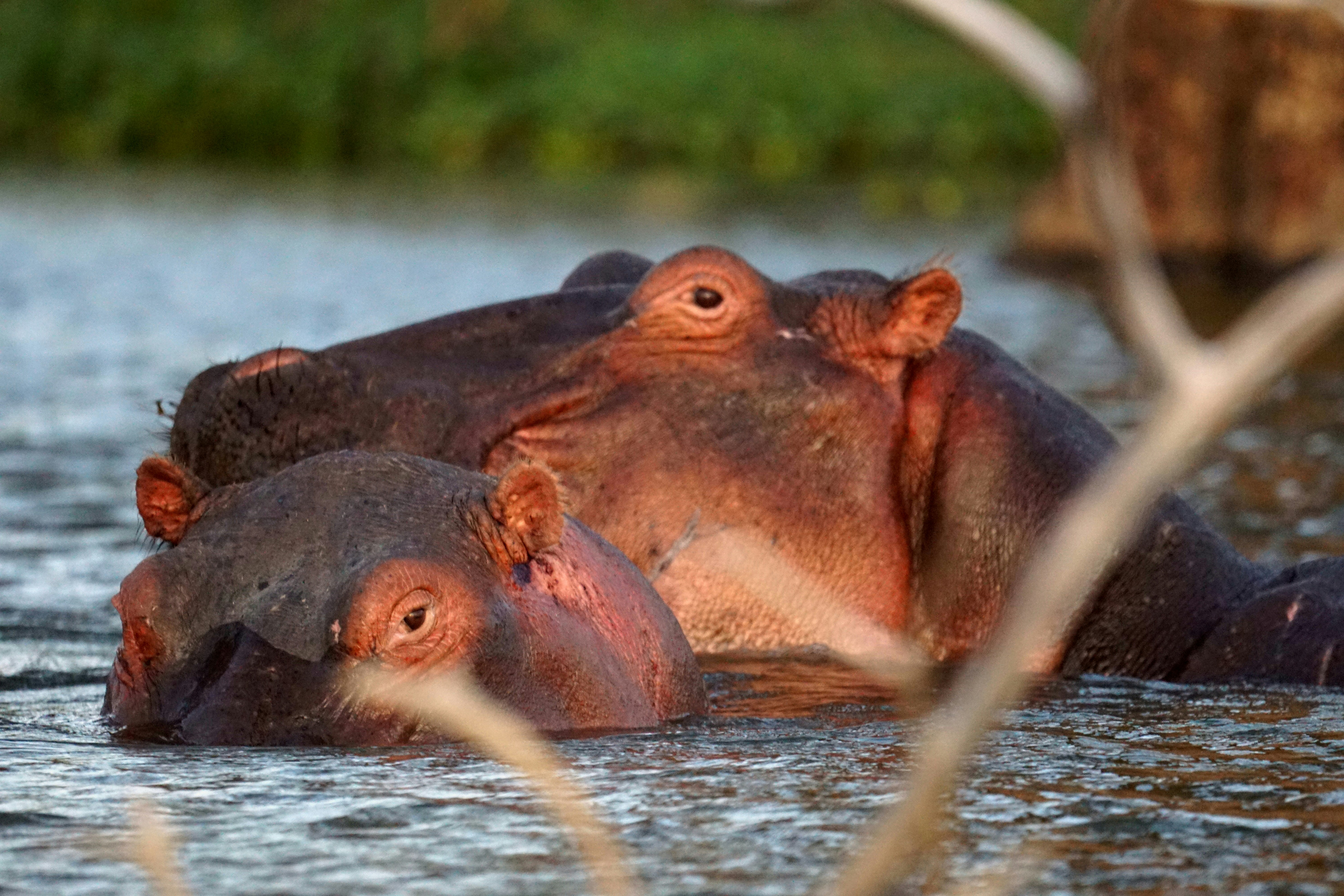 7 DAYS 6 NIGHTS SAMBURU/NANYUKI/NAIVASHA/MARA ITINERARY