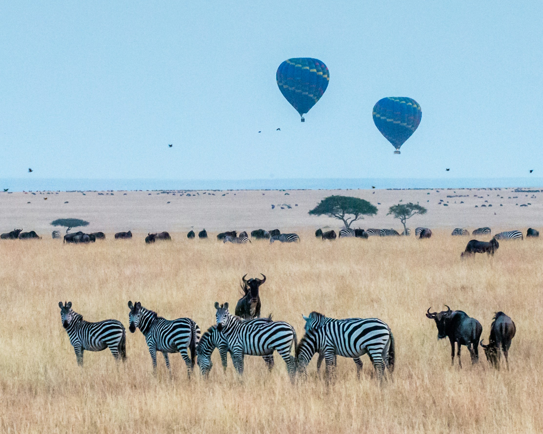7 DAYS 6 NIGHTS NANYUKI/NAKURU/NAIVASHA/MARA ITINERARY