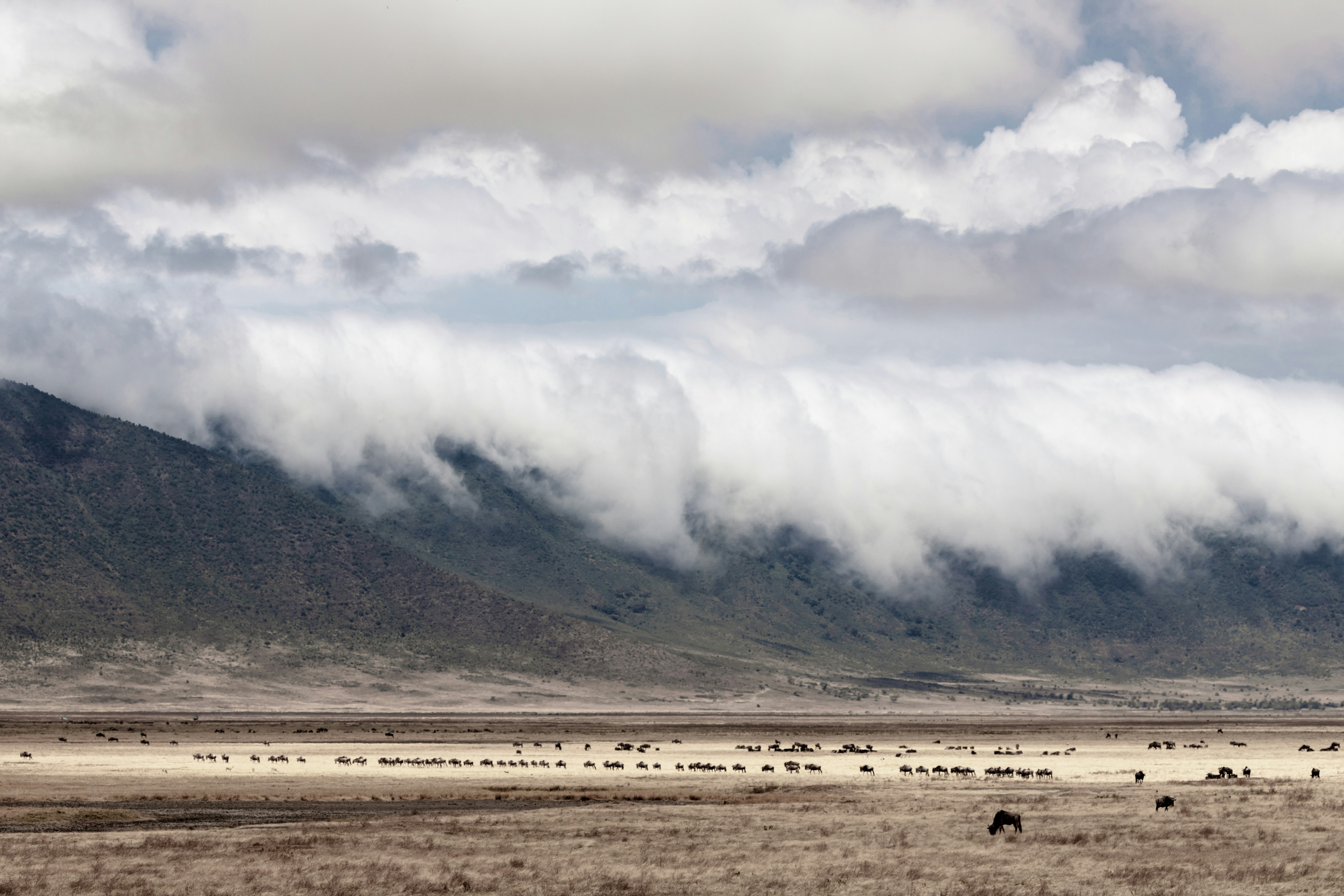 9 DAYS 8 NIGHTS SAMBURU/OL PEJETA/NAIVASHA/NAKURU/MARA ITINERARY
